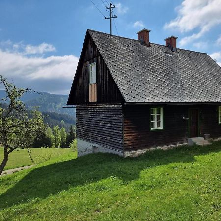 Zankl Villa Lavamünd Eksteriør bilde